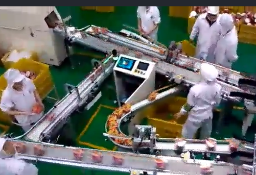 當輸送帶出現(xiàn)跑偏后，怎么辦？