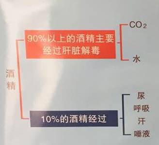 酒后駕駛危害多，你都知道哪些？